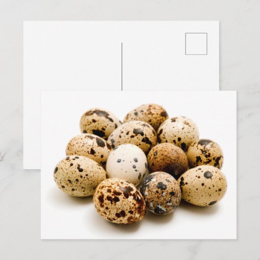 ウズラの卵 ポストカード (正面/裏面)