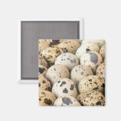 ウズラの卵 マグネット (正面/裏面)