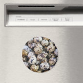 ウズラの卵 マグネット (インサイチュ (食洗機))