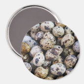 ウズラの卵 マグネット (正面/裏面)