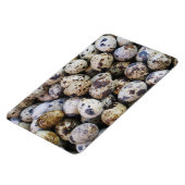 ウズラの卵 マグネット (左側)