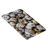 ウズラの卵 マグネット (右側)