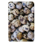 ウズラの卵 マグネット (縦)