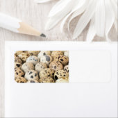 ウズラの卵 ラベル (インサイチュ)