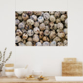 ウズラの卵、ワラス、コリジェラ・ブランカ、アンカシュ ポスター (キッチン)
