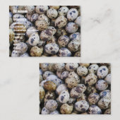 ウズラの卵 名刺 (正面/裏面)