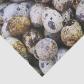 ウズラの卵 薄葉紙 (詳細)