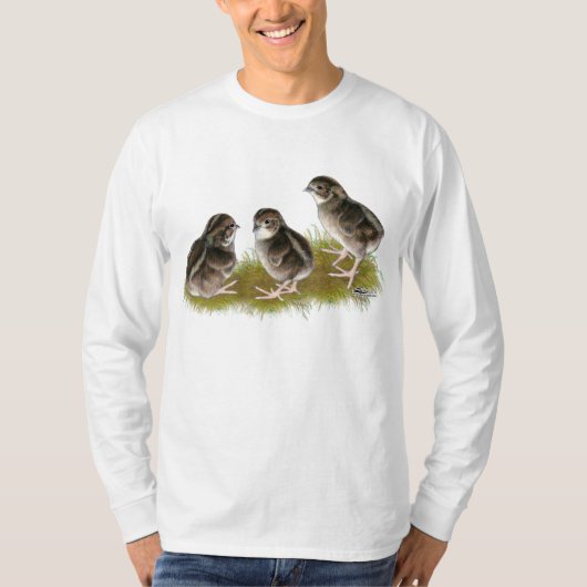 ウズラの雛 Tシャツ (正面)