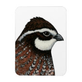 ウズラの頭 マグネット (縦)