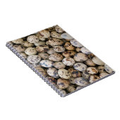 ウズラエッグス，フアラス，コーディレラブランカ，アンキャッシュ ノートブック (右側)