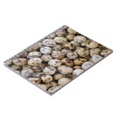 ウズラエッグス，フアラス，コーディレラブランカ，アンキャッシュ ノートブック (左側)