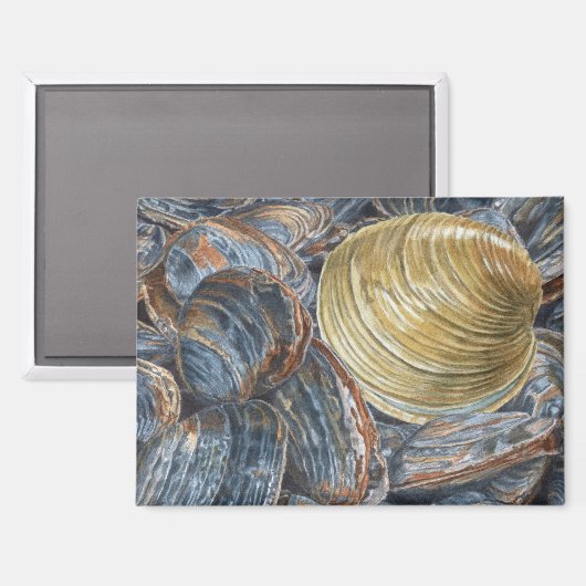 ウズラズラ マグネット (正面/裏面)