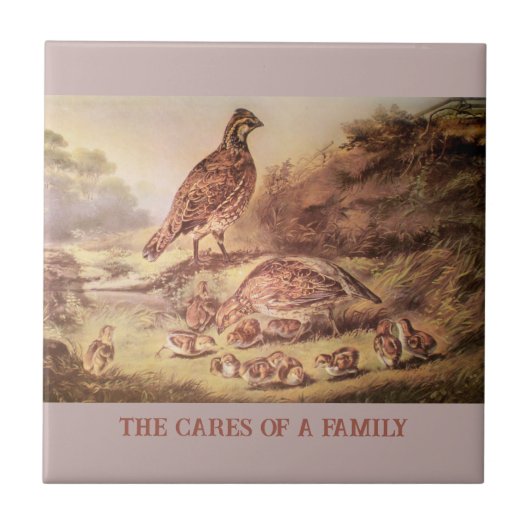 ウズラ族タイル タイル (正面)