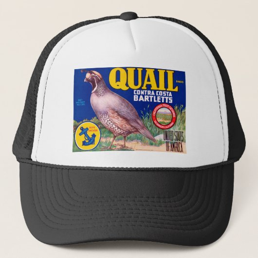 ウズラ キャップ (正面)