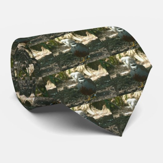 ウズラ ネクタイ (ロール)