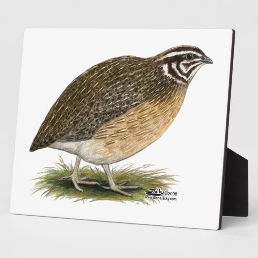 ウズラ フォトプラーク (側面)