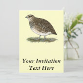 ウズラ·ヘン 招待状 (スタンド正面)