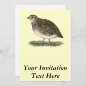 ウズラ·ヘン 招待状 (正面/裏面)