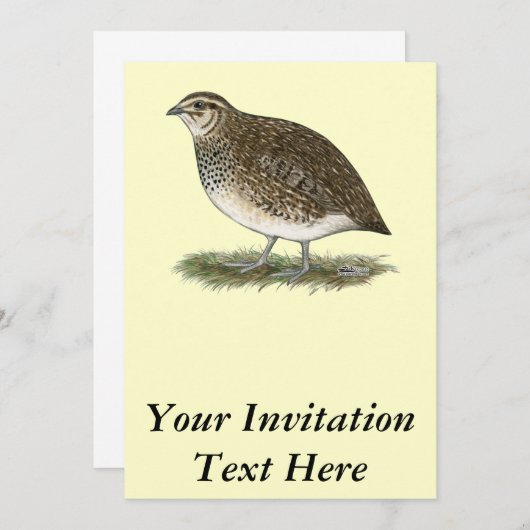 ウズラ·ヘン 招待状 (正面/裏面)