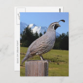 ウズルオンドリームポイント ポストカード (正面/裏面)