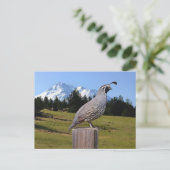 ウズルオンドリームポイント ポストカード (スタンド正面)