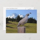 ウズルオンドリームポイント ポストカード (正面/裏面)