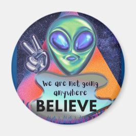 ウソ マグネット