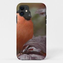ウソ iPhone 11 ケース