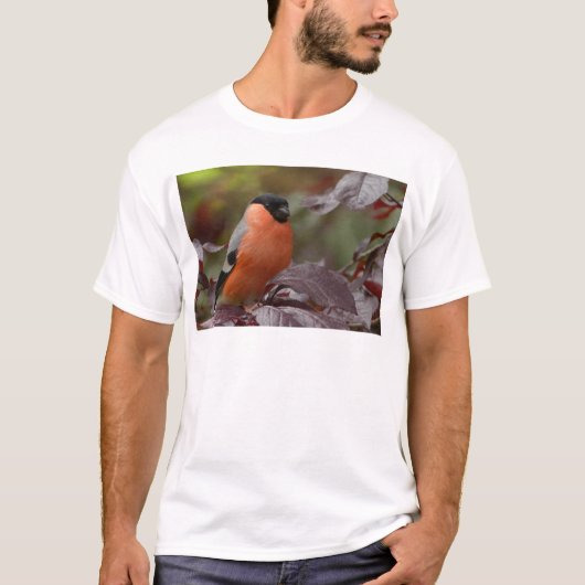 ウソ Tシャツ (正面)