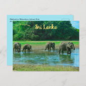 ウダワラワ国立公園の象スリランカ ポストカード (正面/裏面)