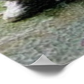 ウダンタイジプリント ポスター (角)