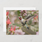 ウチドリの飛行中 ポストカード (正面/裏面)