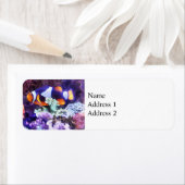 ウチノコと珊瑚 ラベル (インサイチュ)