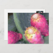 ウチワサボテンの郵便はがき ポストカード (正面/裏面)