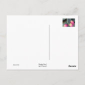 ウチワサボテンの郵便はがき ポストカード (裏面)