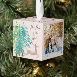 ウッズの新しい首の写真と新しい住所 キューブオーナメント