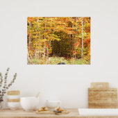 ウッズアディロンダックス山脈の小道 ポスター (キッチン)