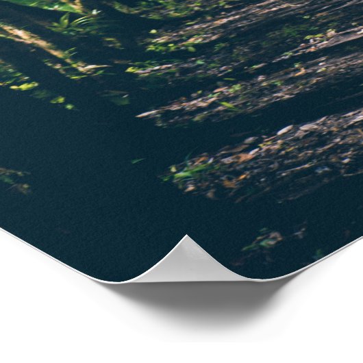 ウッズアーチパスウェイの自然感動的写真 ポスター (角)