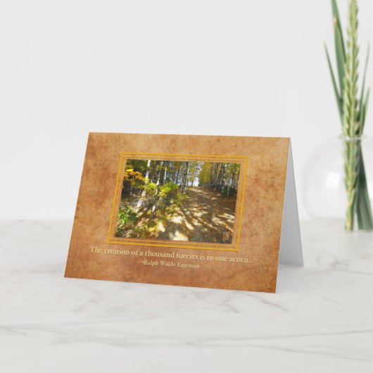 ウッズカードから感謝祭 シーズンカード (正面)