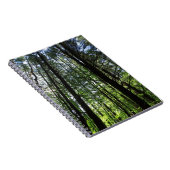 ウッズジャーナルの散歩 ノートブック (右側)