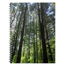 ウッズジャーナルの散歩