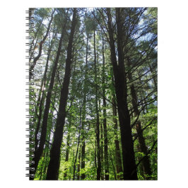 ウッズジャーナルの散歩 ノートブック