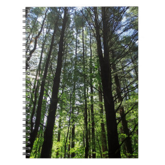 ウッズジャーナルの散歩 ノートブック