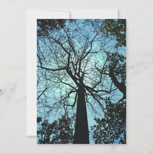 ウッズハ幽霊のよく出るロウィーン招待状 招待状 (正面)