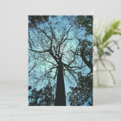 ウッズハ幽霊のよく出るロウィーン招待状 招待状 (スタンド正面)