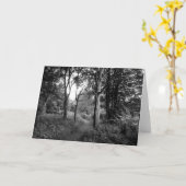 ウッズビュートパーク、カーディフのグリーティングカード カード (黄色い花)