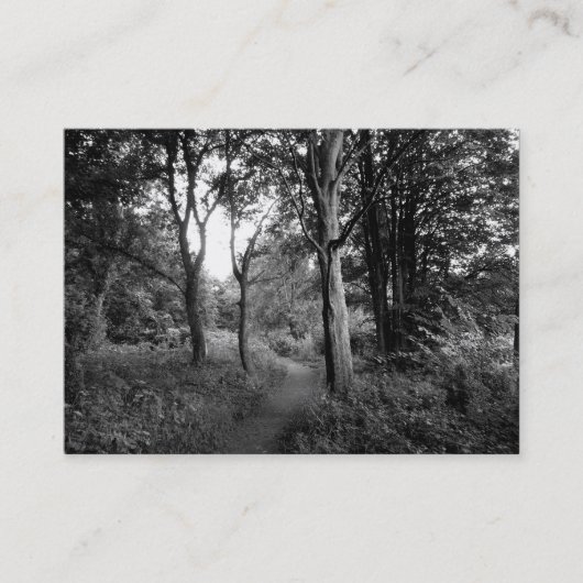 ウッズビュート公園、カーディフ、ミニフォト 名刺 (正面)