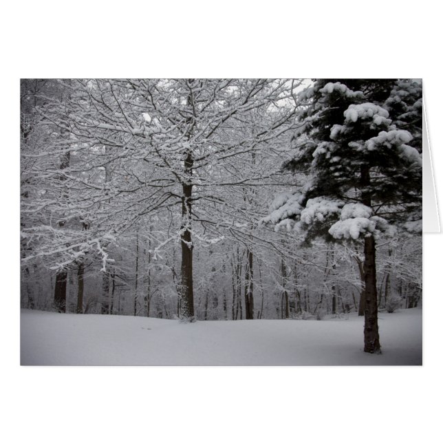 ウッズビュー (正面横)