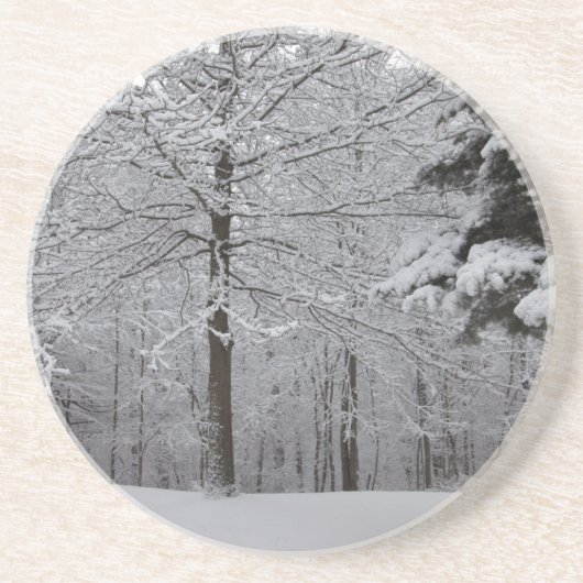 ウッズビュー コースター (正面)