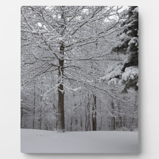 ウッズビュー フォトプラーク (正面)